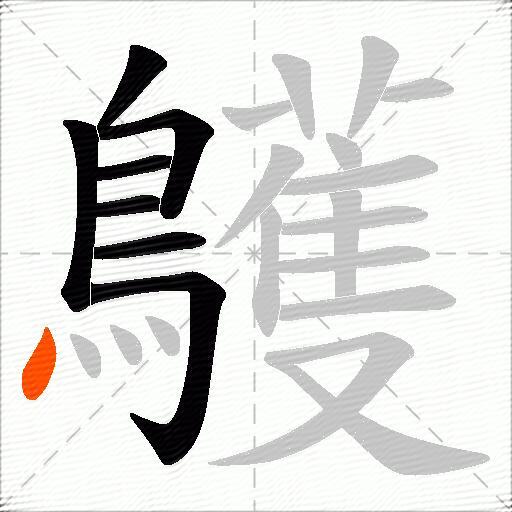 鸌