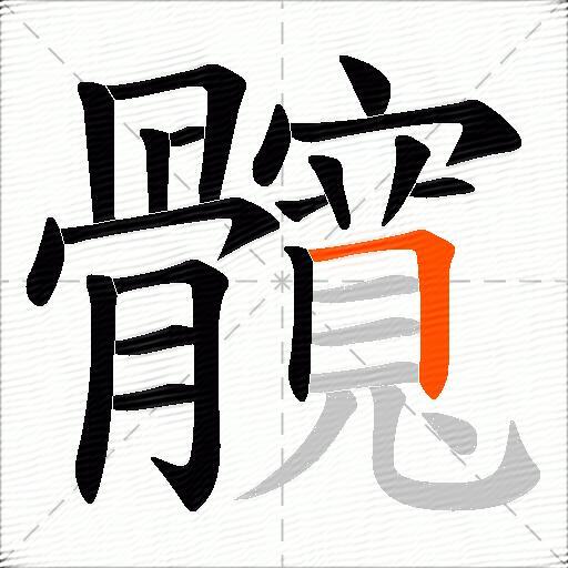 髖