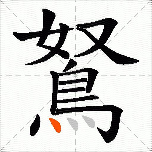 鴑
