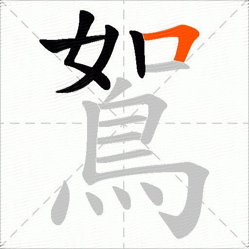 鴽