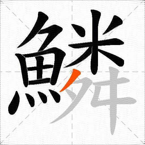 鱗