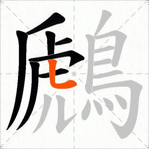 鷉