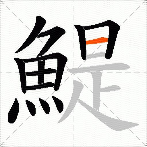 鯷
