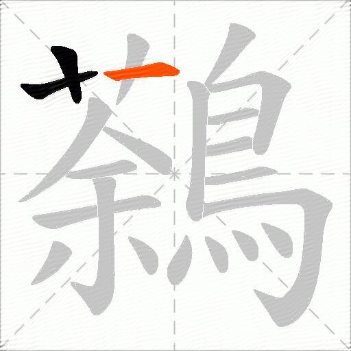 鷋
