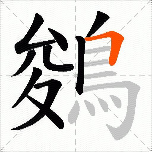 鵕