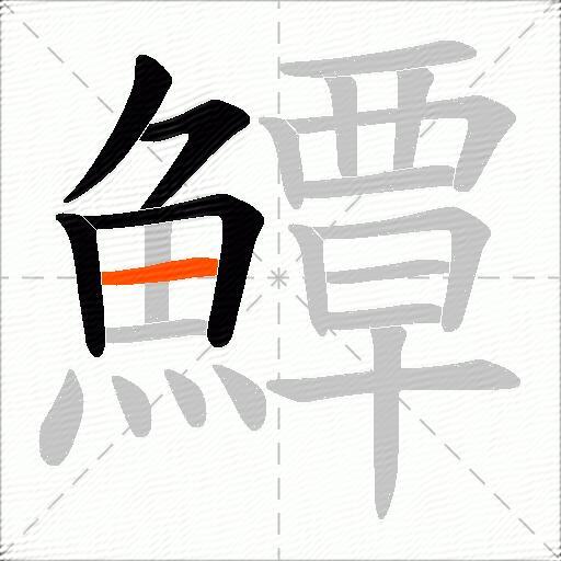 鱏