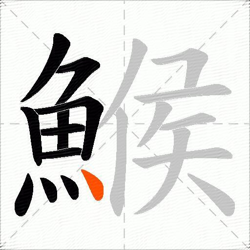 鯸
