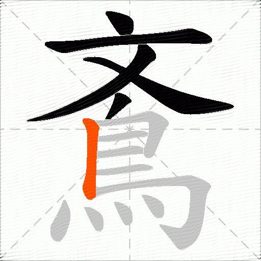 鴍