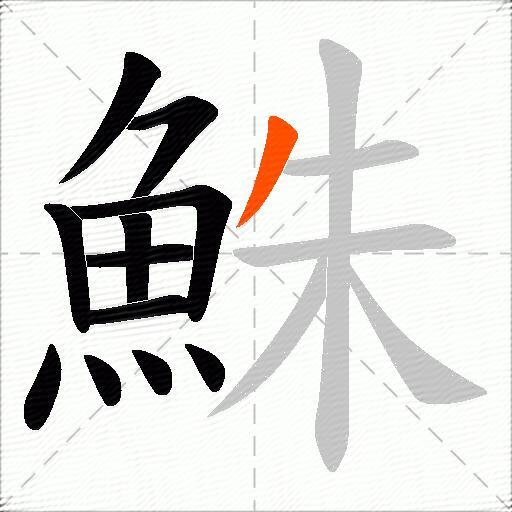 鮢