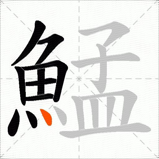 鯭
