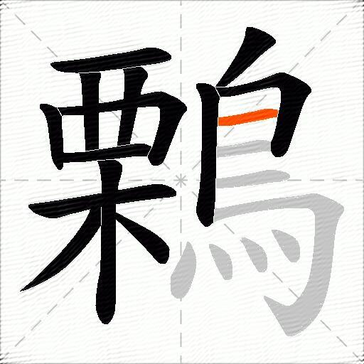 鷅