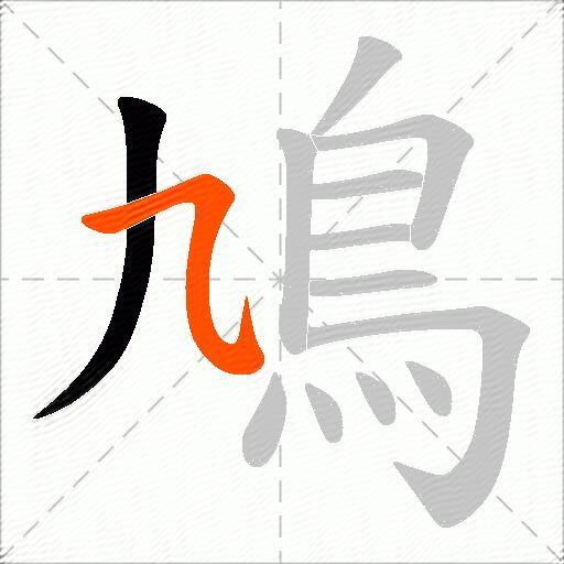 鳩