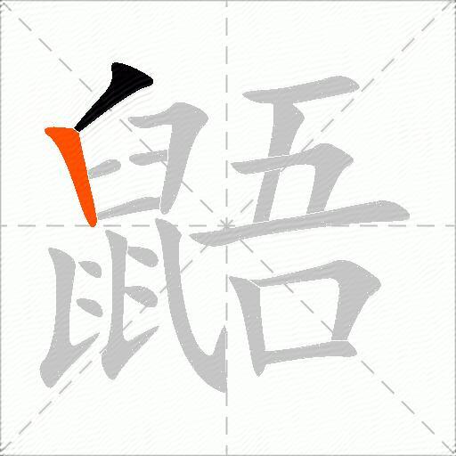 鼯