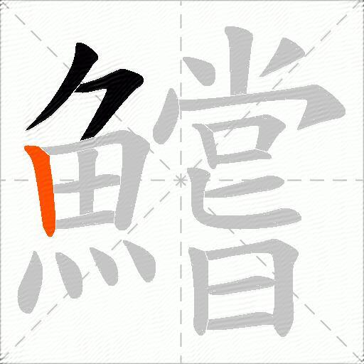 鱨