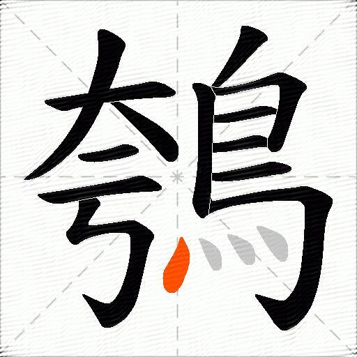 鴮
