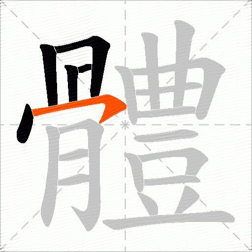體