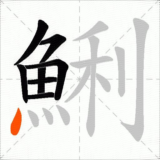 鯏
