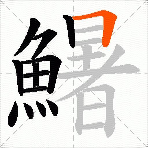 鱪