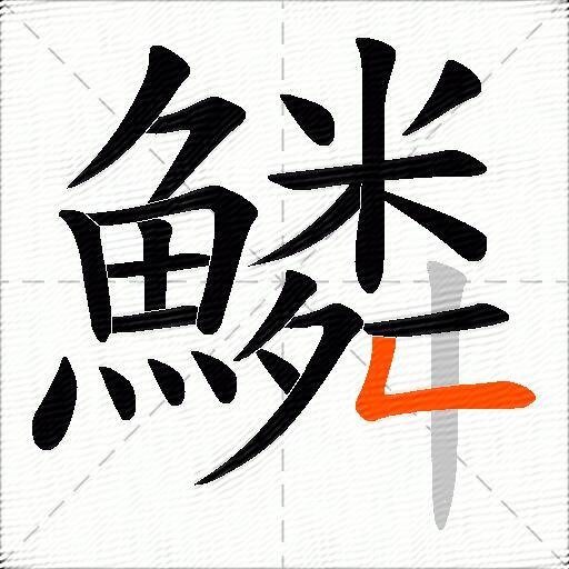 鱗