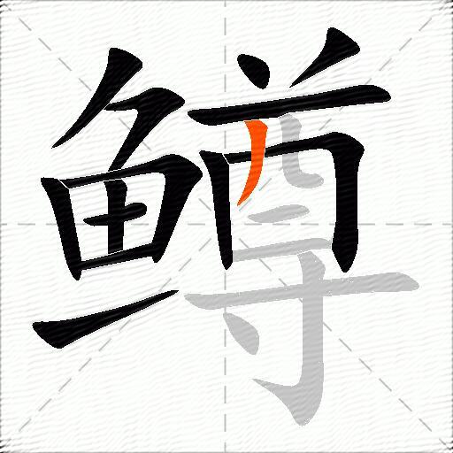 鳟