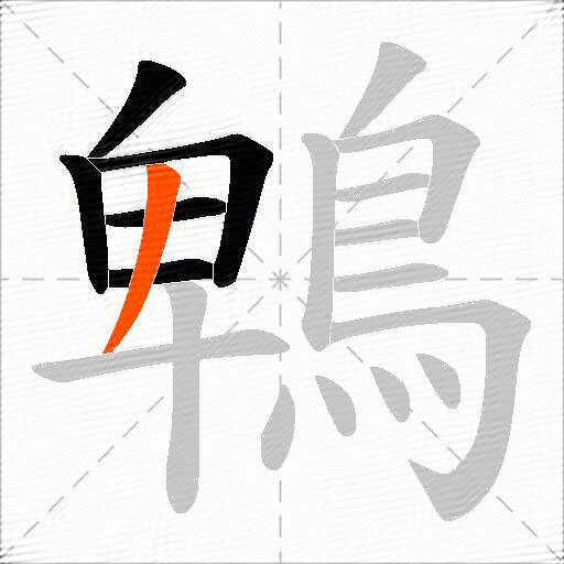 鵯