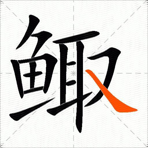 鲰