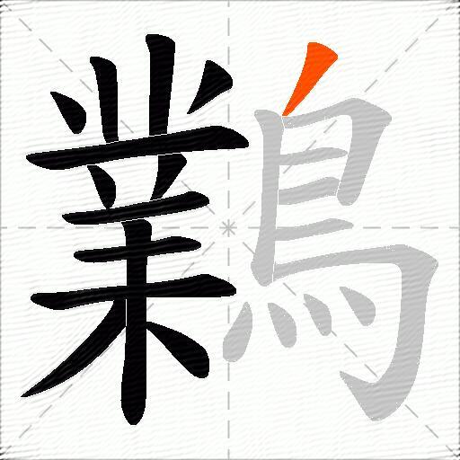 鸈