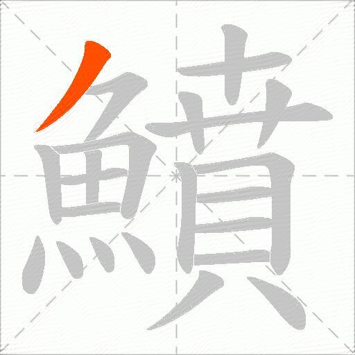 鱝