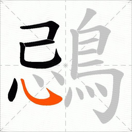 鵋