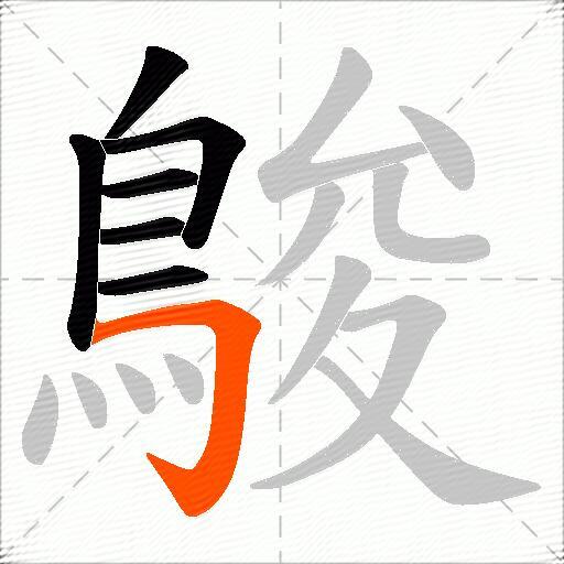 鵔