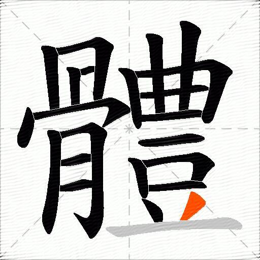 體