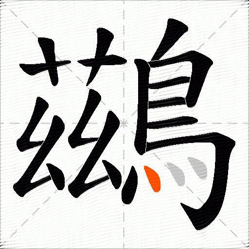 鷀