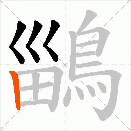 鶅