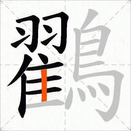 鸐