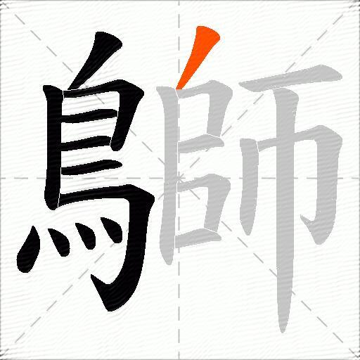 鶳