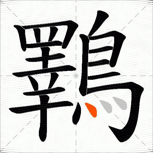 鸅