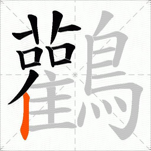 鸛