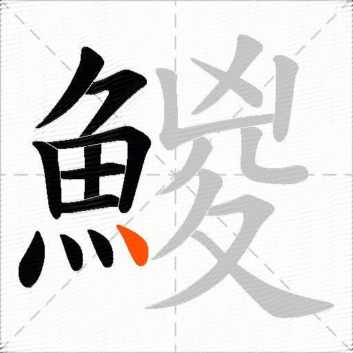 鯼