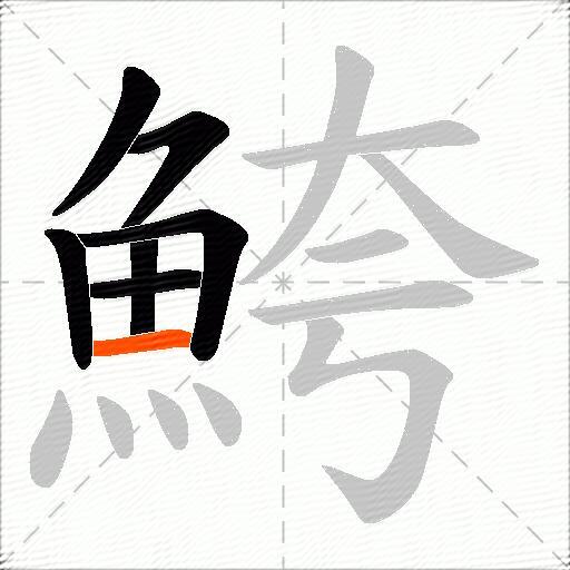 鮬