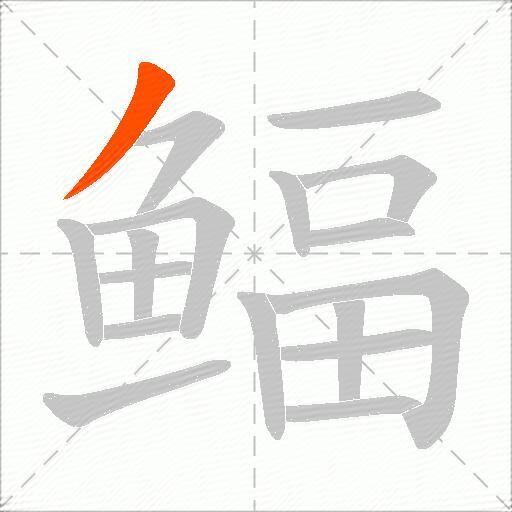 鲾