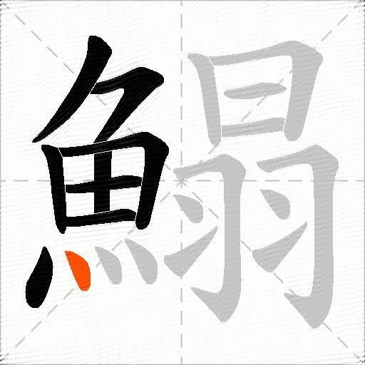 鰨