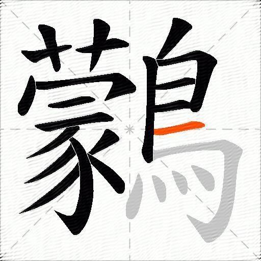 鸏