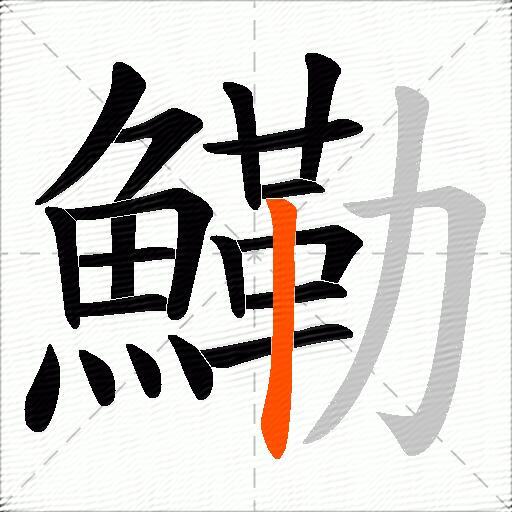 鰳