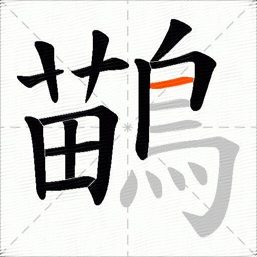 鶓