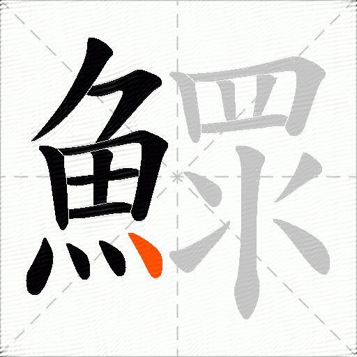 鰥