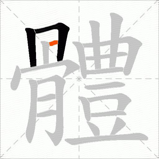 體