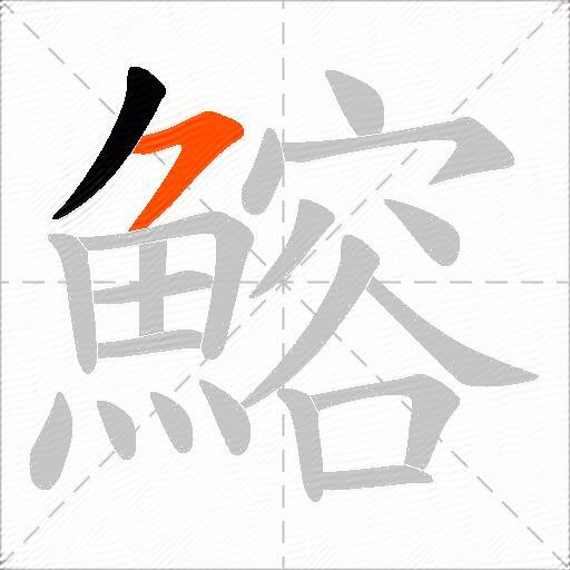 鰫