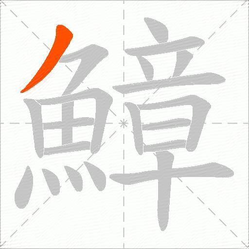 鱆