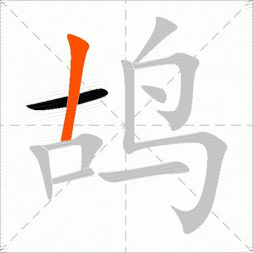 鸪