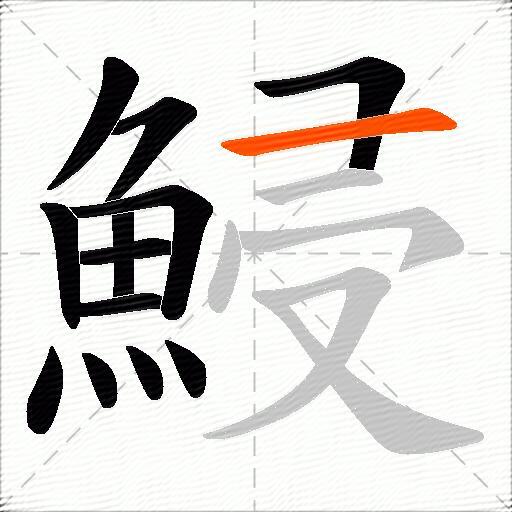 鮼